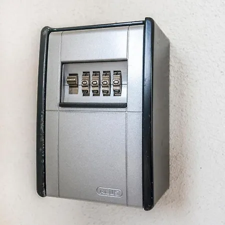 & 'the Roots Near Pula, Istria, Croatia