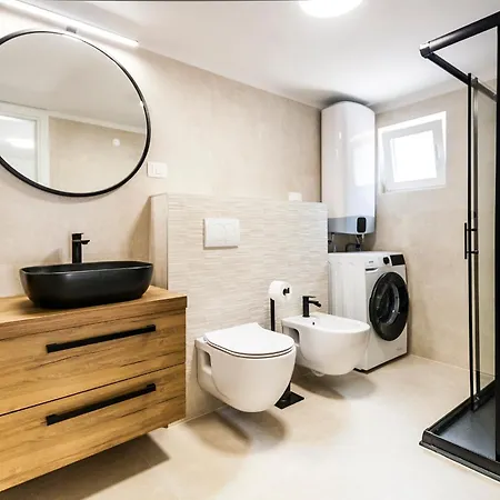 & 'the Roots Near Pula, Istria, Croatia *