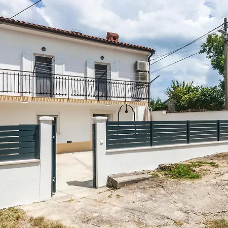 & 'the Roots Near Pula, Istria, Croatia