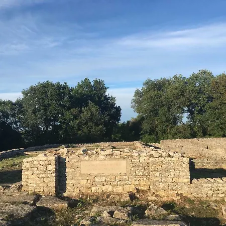 & 'the Roots Near Pula, Istria, Croatia Appartement Pula