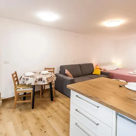 & 'the Roots Near Pula, Istria, Croatia *