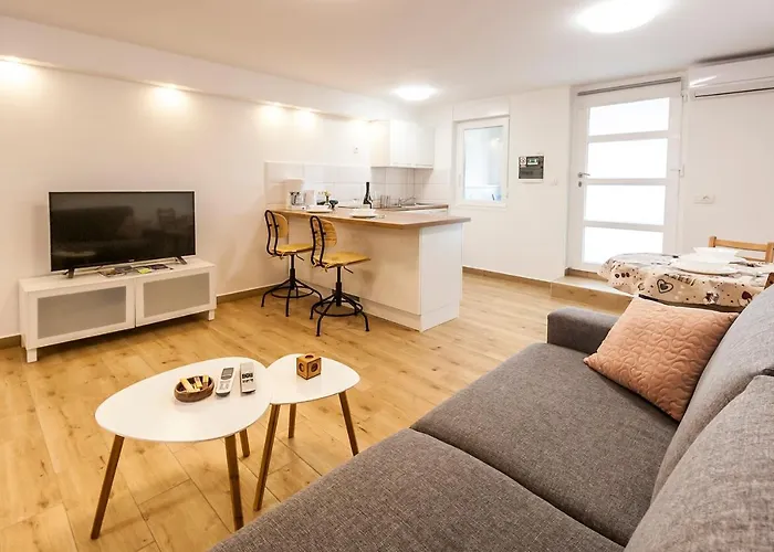 & 'the Roots Near Pula, Istria, Croatia * Pula