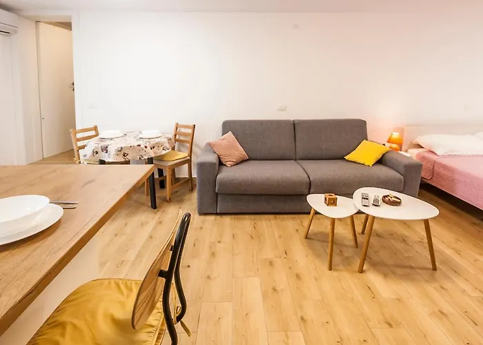 & 'the Roots Near Pula, Istria, Croatia Pula