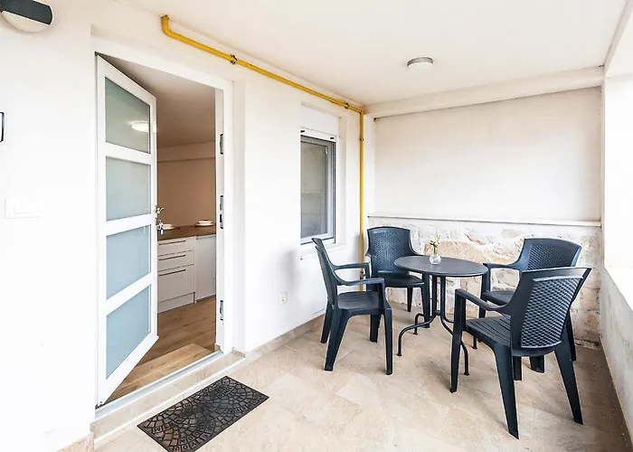 & 'the Roots Near Pula, Istria, Croatia