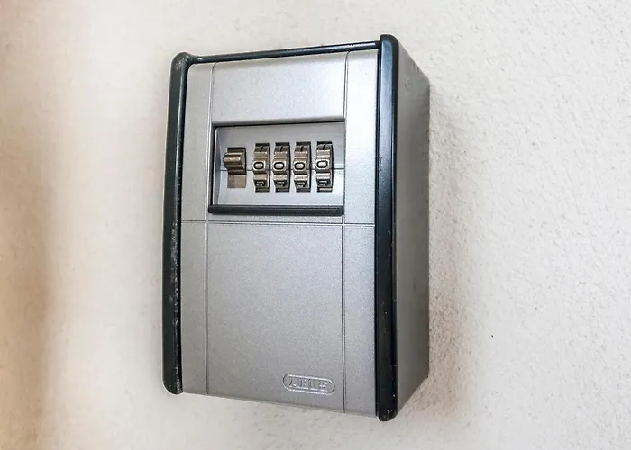 & 'the Roots Near Pula, Istria, Croatia