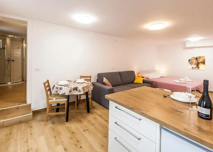 & 'the Roots Near Pula, Istria, Croatia *