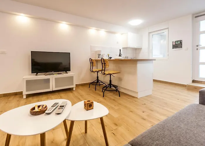 & 'the Roots Near Pula, Istria, Croatia Pula