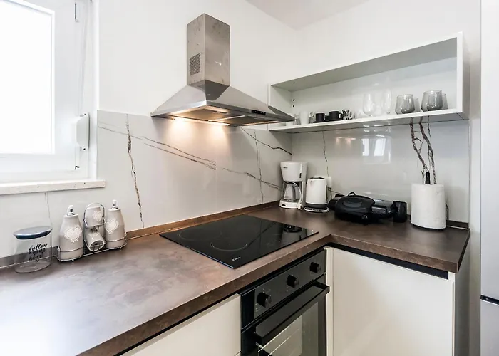 & 'the Roots Near Pula, Istria, Croatia Pula