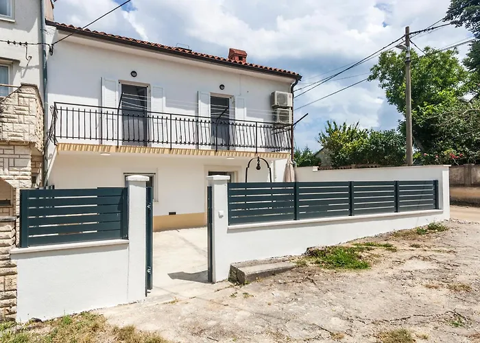 & 'the Roots Near Pula, Istria, Croatia