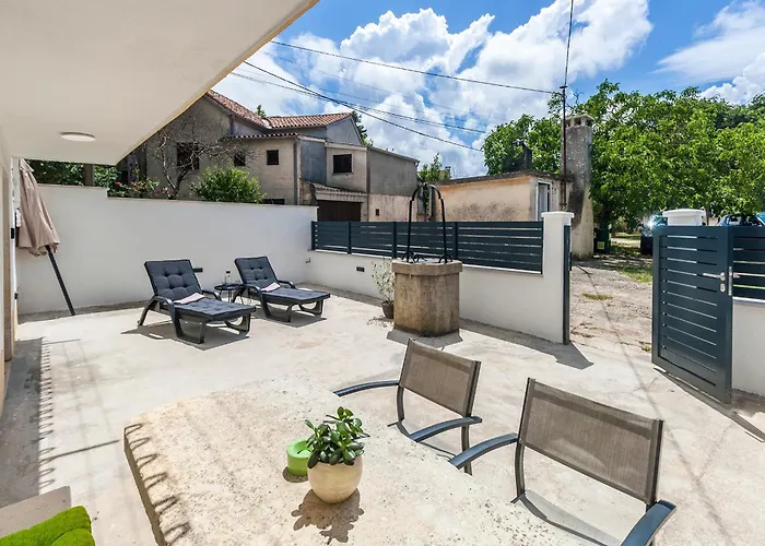 & 'the Roots Near Pula, Istria, Croatia