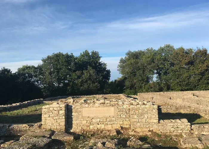& 'the Roots Near Pula, Istria, Croatia Apartmán Pula