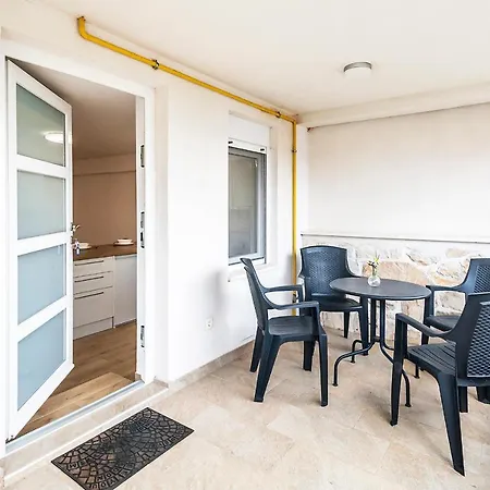 & 'the Roots Near Pula, Istria, Croatia