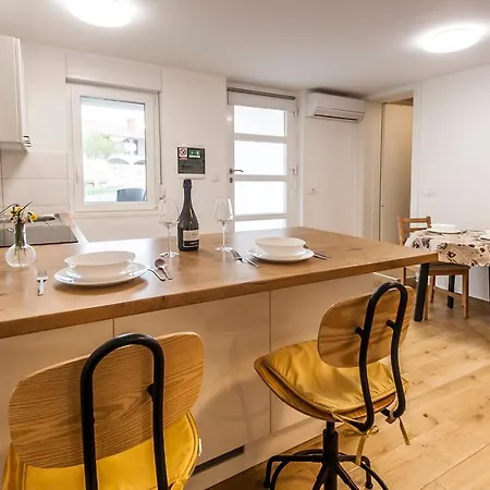 & 'the Roots Near Pula, Istria, Croatia Daire *