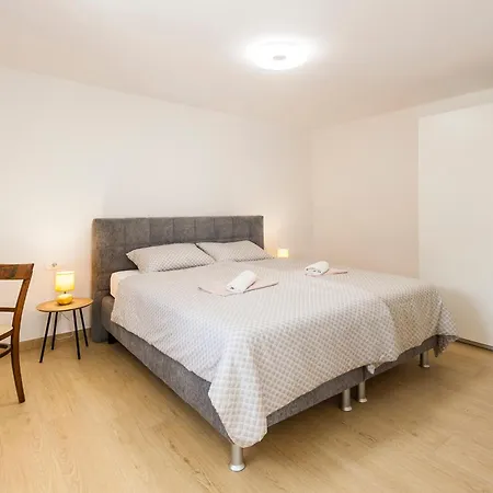 & 'the Roots Near Pula, Istria, Croatia *