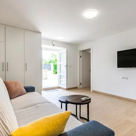 & 'the Roots Near Pula, Istria, Croatia Daire