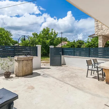 & 'the Roots Near Pula, Istria, Croatia Daire